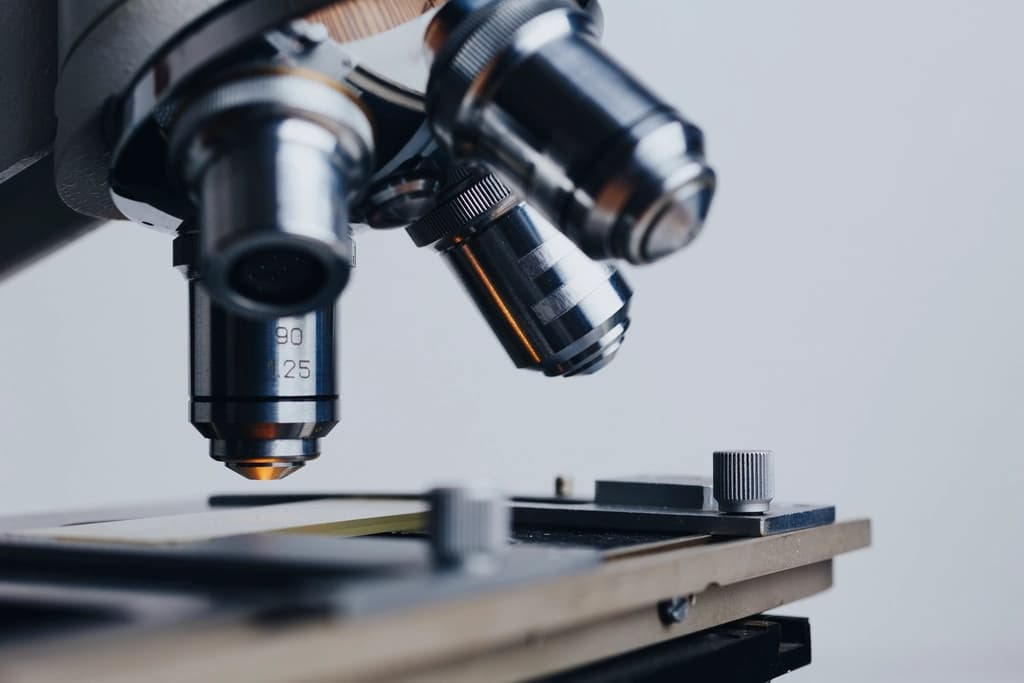 Does Shilajit Increase Sperm Count? What Human Studies Actually Show