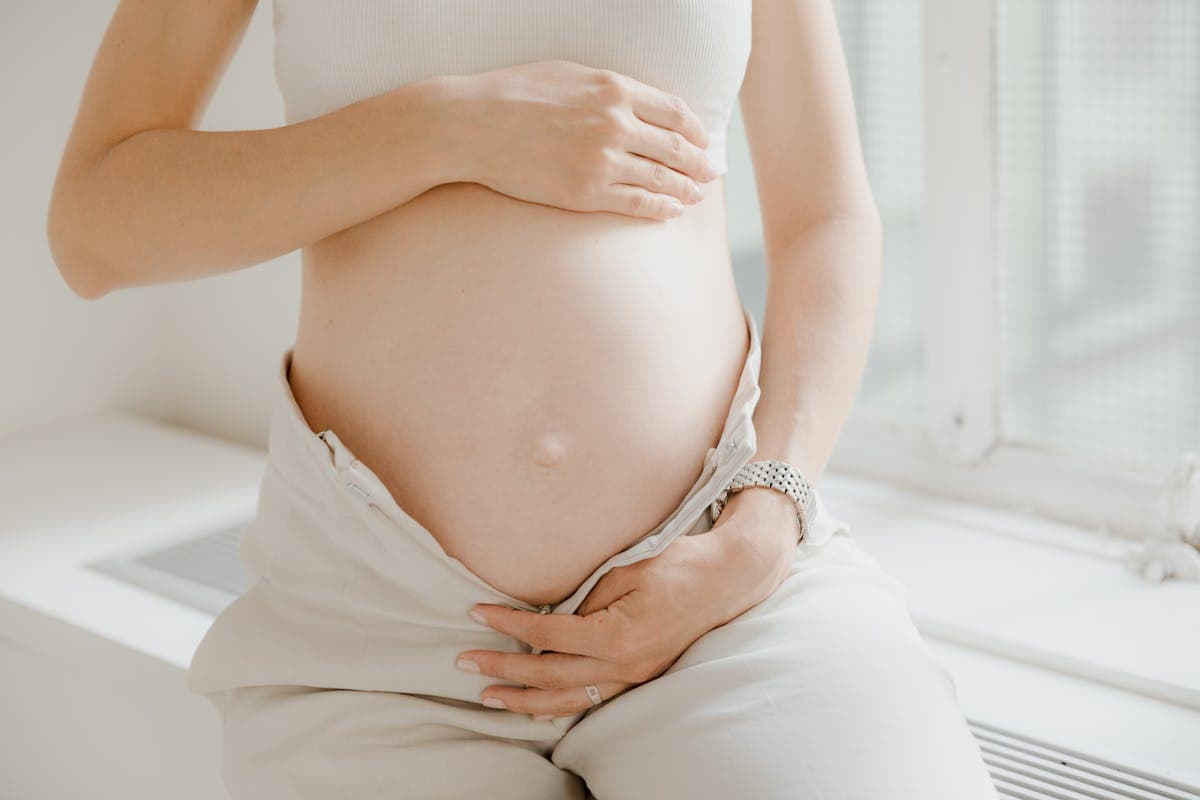 Shilajit and Pregnancy: A Safety Pillar Review