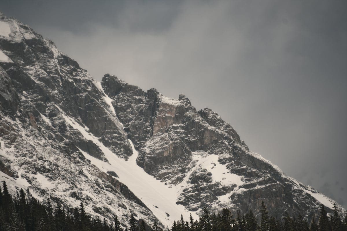 Shilajit Sourcing Standards: Traceability, COA & Lab Disclosure