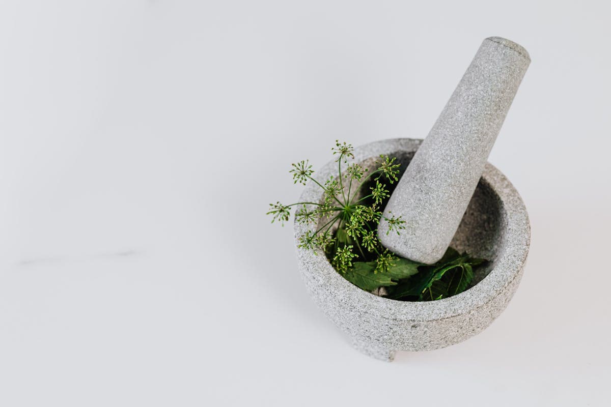 Shilajit Uses: Traditional Rasayana Applications and Modern Evidence-Graded Use Cases