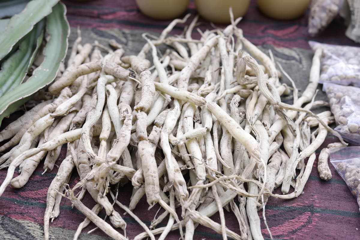 Shilajit vs Ashwagandha: Honest Comparison and Stack Guide