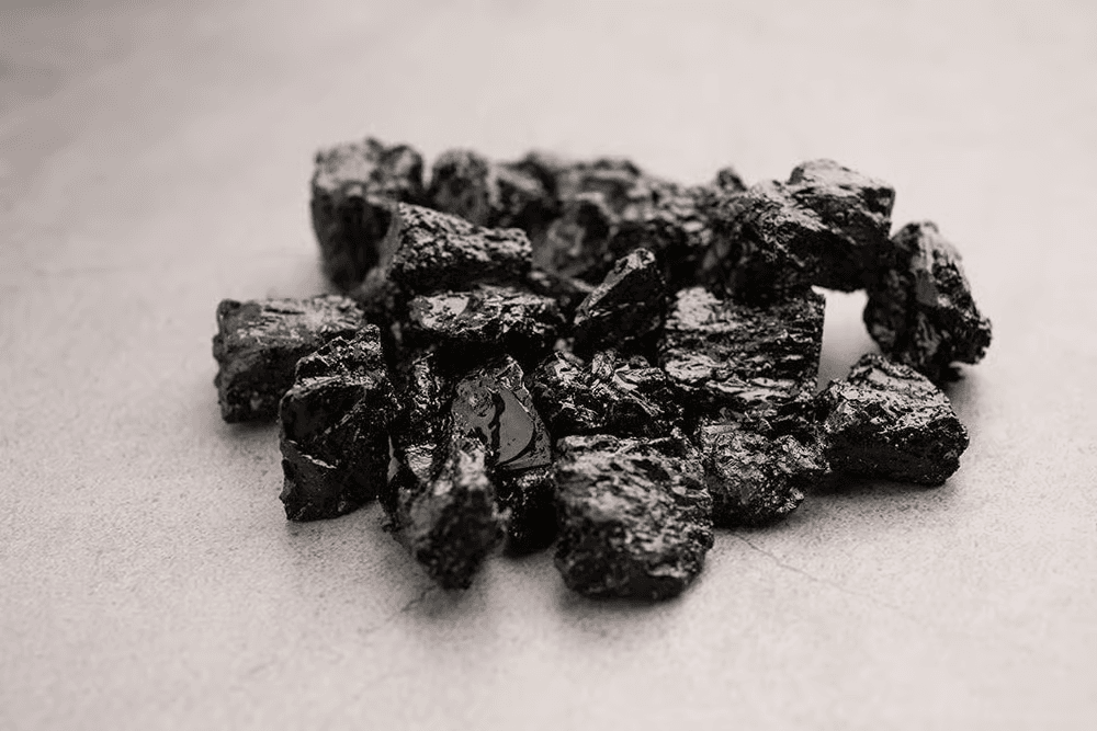 Shilajit vs Sea Moss: Which Superfood Is Better for You?